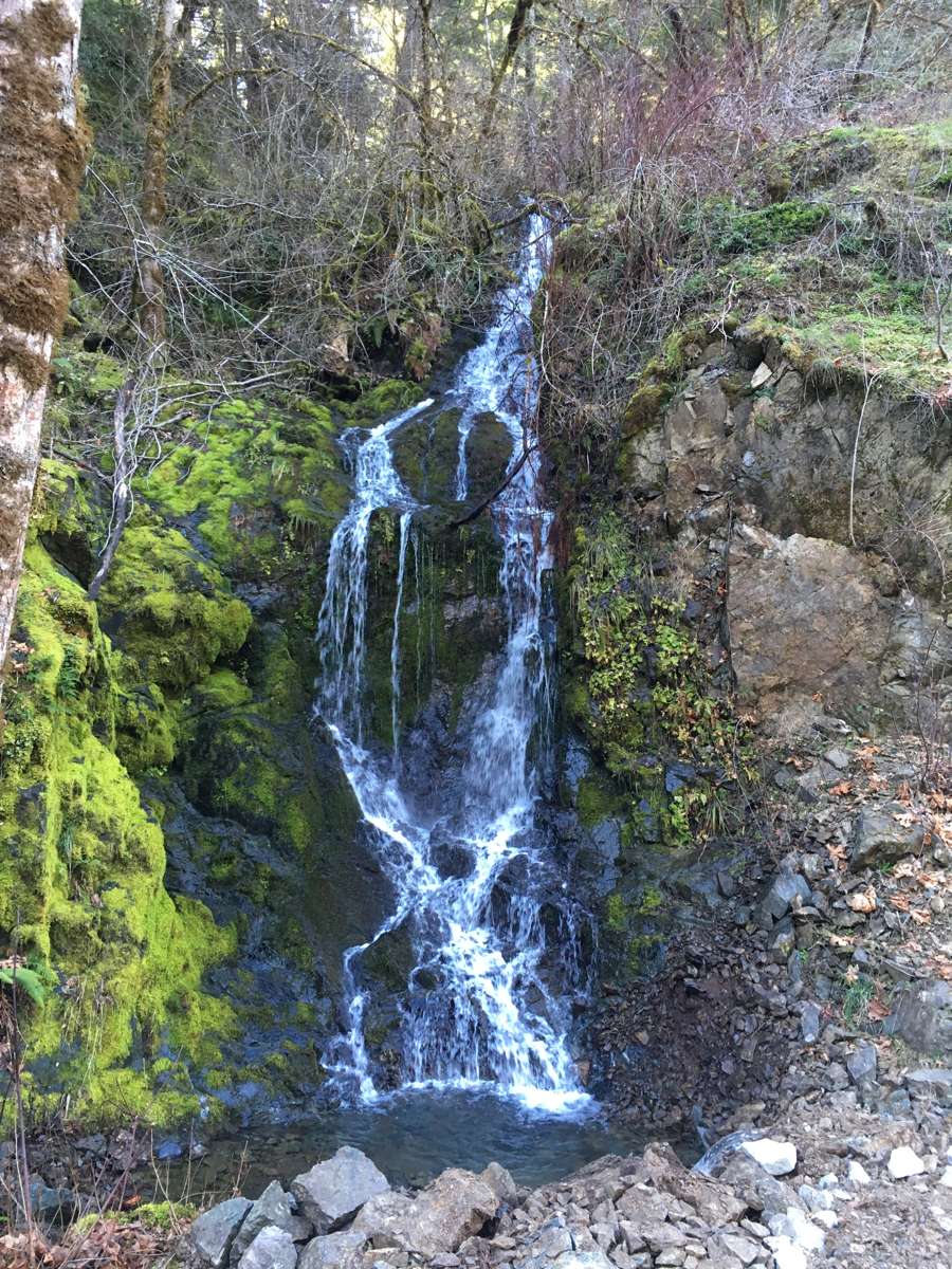 Waterfall in the forest